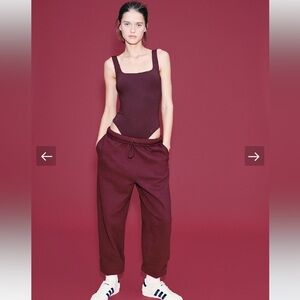 NWT Aritzia Jogger Pants